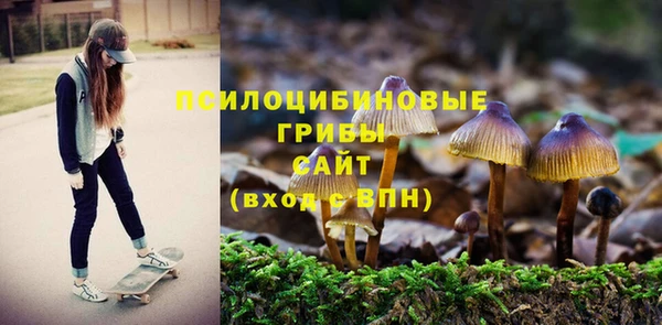хмурый Абаза