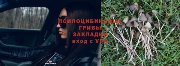 ECSTASY Алексеевка