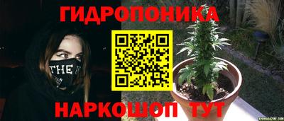 Альфа ПВП Кинель
