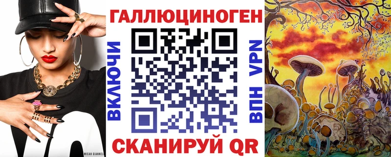 сайты даркнета какой сайт  Шахты  Галлюциногенные грибы Psilocybe  закладка 