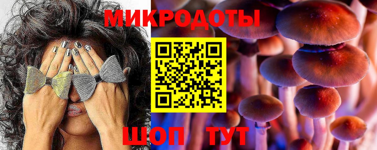 Галлюциногенные грибы мухоморы Шахты