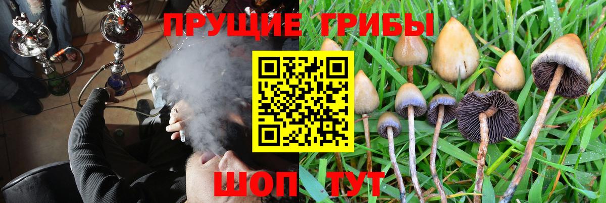 Псилоцибиновые грибы MAGIC MUSHROOMS  Вход с VPN  Шахты 