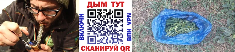 Каннабис сатива  Шахты 